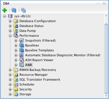 SQL Developer - AWR Report